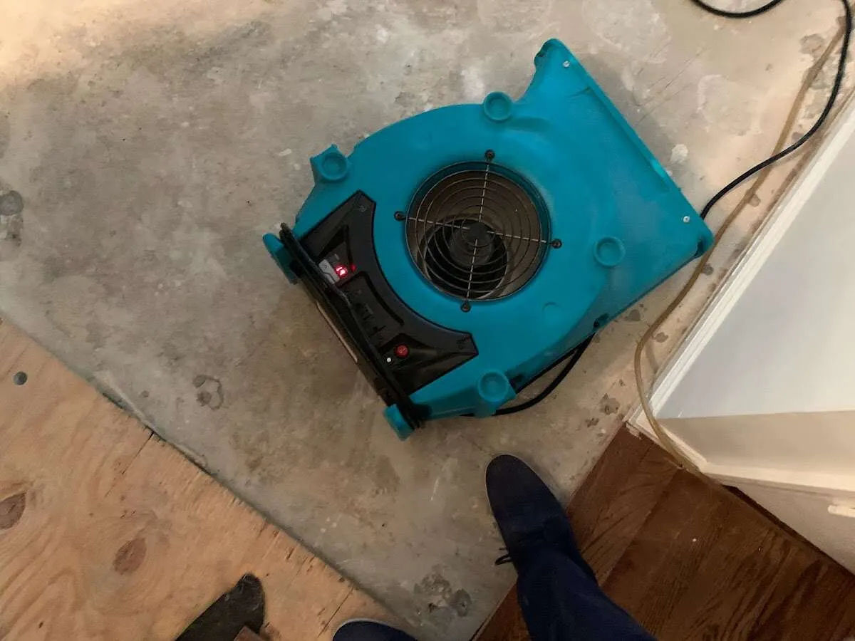 Air mover drying subfloor during Leak Detection & Repair in Swansea